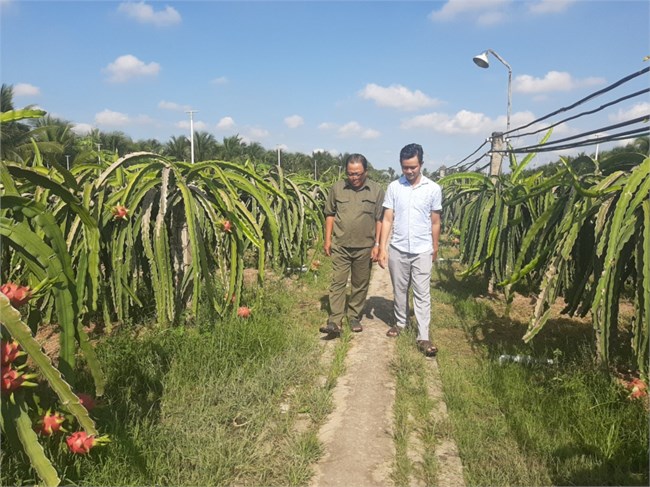 Tiền Giang: Người đảng viên “nông dân” làm giàu từ cây thanh long (18/4/2023)